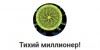 Тихий миллионер! (Серега кодер)